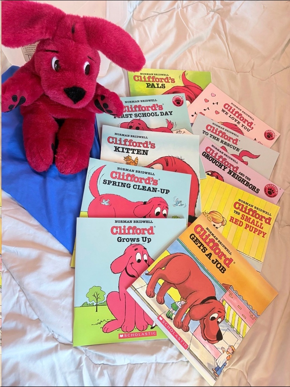 Vintage Scholastic Clifford Pink Plush Puppy with Assorted Clifford Books